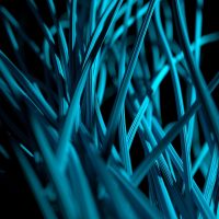 Bases para elaborar un estudio basado en BIG DATA - Madrid